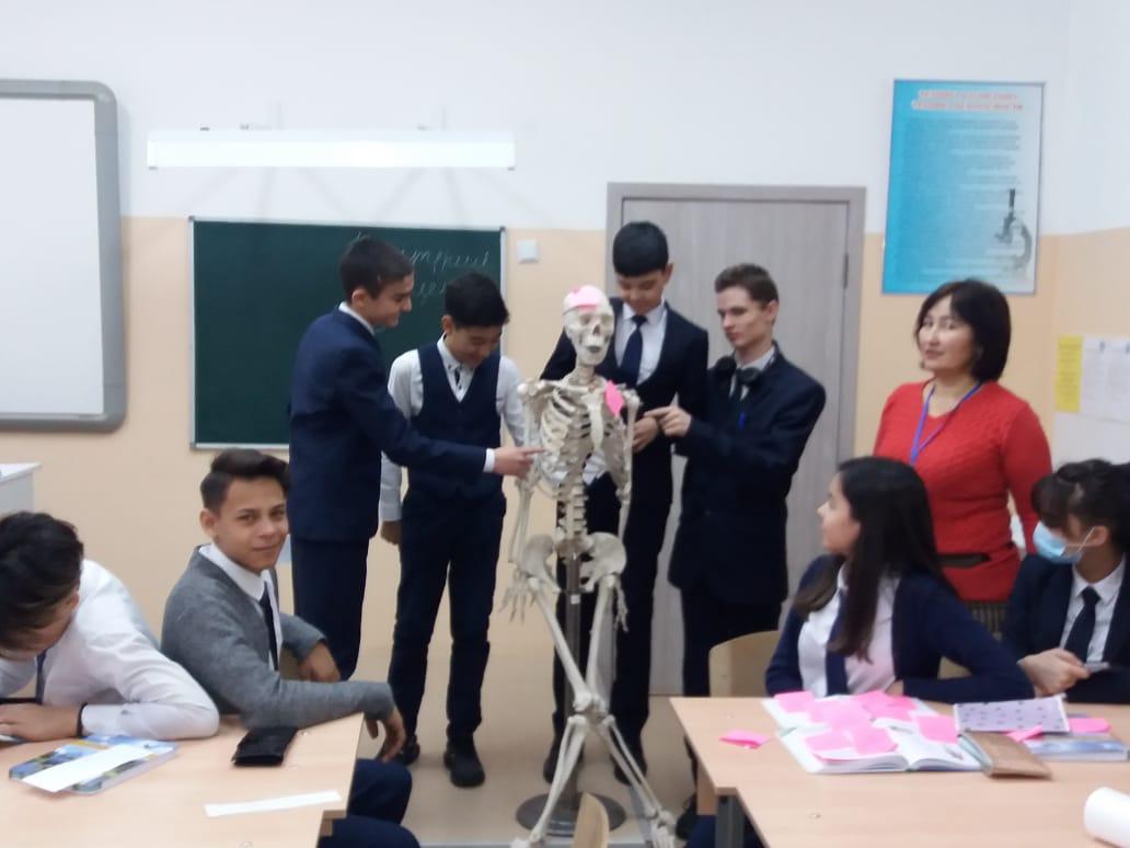 Открытый урок по биологии